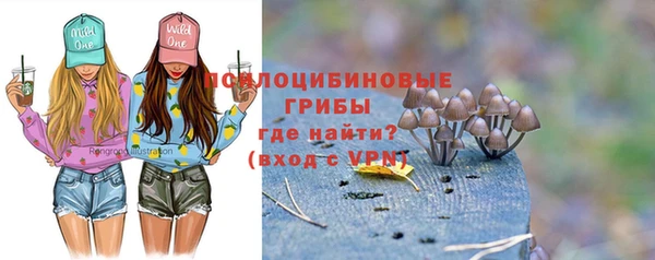 прущая мука Гусь-Хрустальный