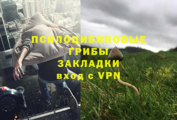 амфетамин Гусев