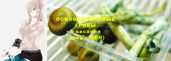 прущая мука Гусь-Хрустальный
