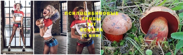 прущая мука Гусь-Хрустальный