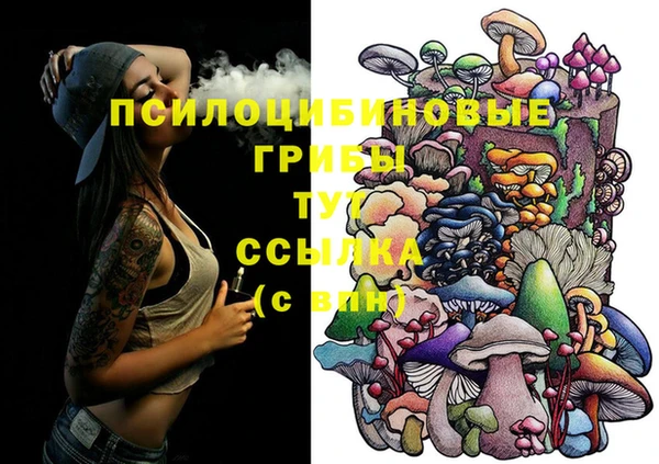 прущая мука Гусь-Хрустальный
